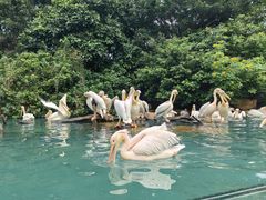 -珠海长隆海洋王国