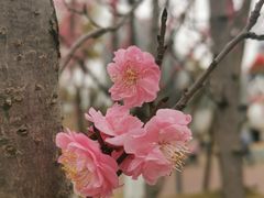 -桂溪生态公园