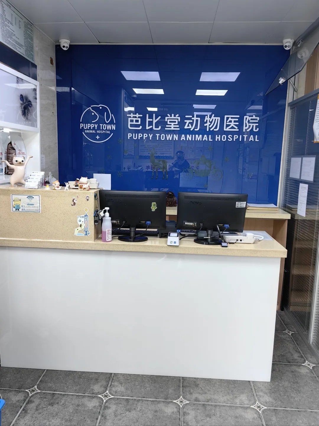 带着毛孩子体检的一天