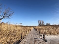 -马家湾湿地公园