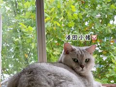 -老鳯府豆花泡馍(第五大道店)