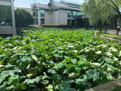 -绍兴鉴湖君澜大酒店