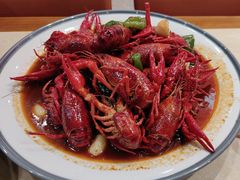 -杨氏青龙虾·羊蝎子(珠江路店)