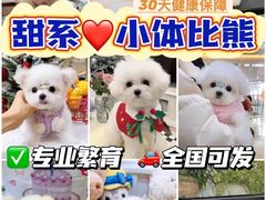 -萌宠之家·腊肠犬·马尔泰·小体犬舍