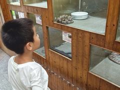 -上海大自然野生昆虫馆(东方明珠·爬宠昆虫探索中心)
