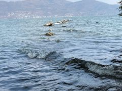 -大理洱海
