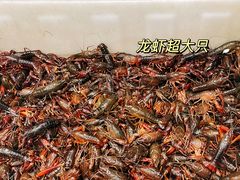 -菜哥龙虾•九江菜(七中店)