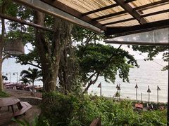 -卷心菜和避孕套餐厅(Pattaya)
