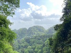 -青城山