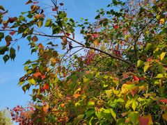 -南山风景名胜区