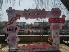 -桃花堤公园