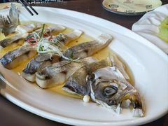 -扬州狮子楼·非遗淮扬菜(总店)