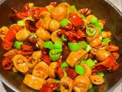 -老板恋上鱼(恒隆广场店)