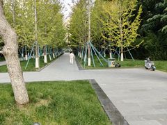 -木塔寺遗址生态公园