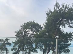 -宝荣鱼馆·临湖之宴(千岛湖店)