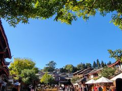 -嘉华鲜花饼(四方街旗舰店)