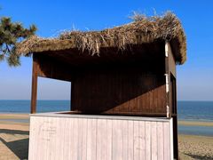 -巧克力渔家.小船海鲜家常菜(万平口店)