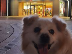 -中粮·祥云小镇