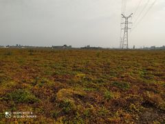 -解家河南菜(商鼎路店)