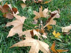 -西南民族大学南区(双流校区)