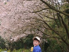 -杭州少年儿童公园