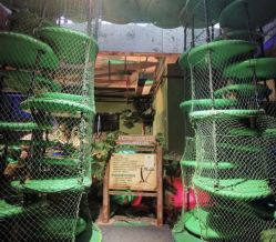 -恐龙探索乐园(磁器口店)