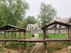 -石家庄市动物园