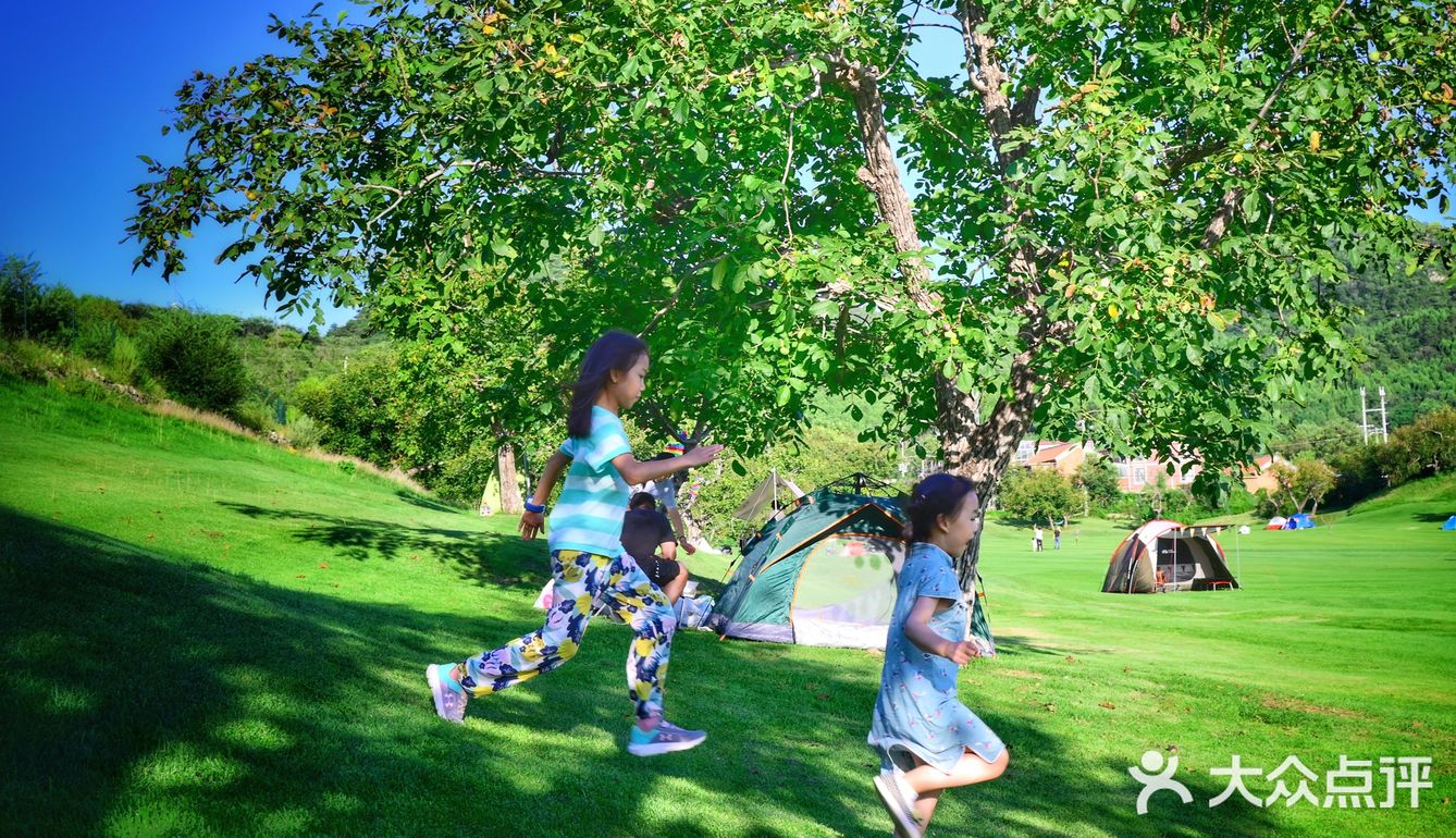 可以疯狂撒欢儿的大草坪，等你哦！