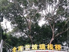 -亚龙湾热带天堂森林公园