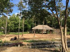 -清迈夜间动物园