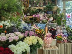 -巴黎春天(陕西路店)