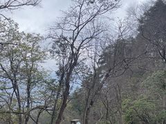 -光雾山旅游景区