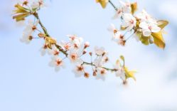 -HEYAN长风荷妍专业脱毛美肤
