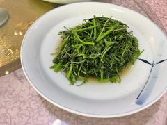 -黛瓦里·花园飨宴