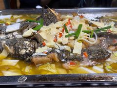 -陈生记黑鱼馆·20年活鱼现杀(宁波鼓楼店)