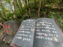 -茅兰沟国家森林公园