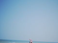 -贝壳沙滩