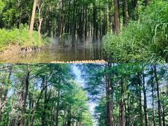 -尚湖风景区