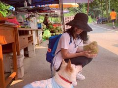 -火炉山森林公园