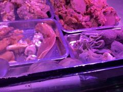 -洪记白水羊头(留学路店)