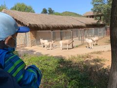 -石家庄市动物园