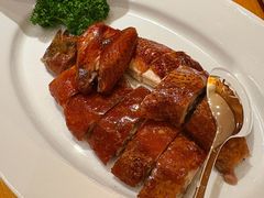 -广州富力君悦大酒店空中花园