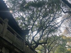 -宁波市保国寺古建筑博物馆