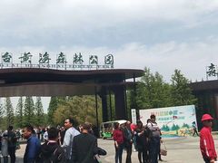 -黄海国家森林公园