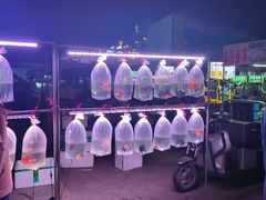 -中环花鸟鱼虫市场