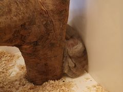 -龙猫仔乐园(惠福东路店)