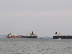 -珍宝海鲜(东海岸海鲜中心)