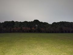 -昆山城市生态森林公园