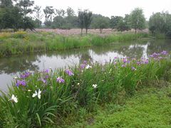 -梁鸿国家湿地公园