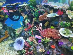 -成都浩海立方海洋公园